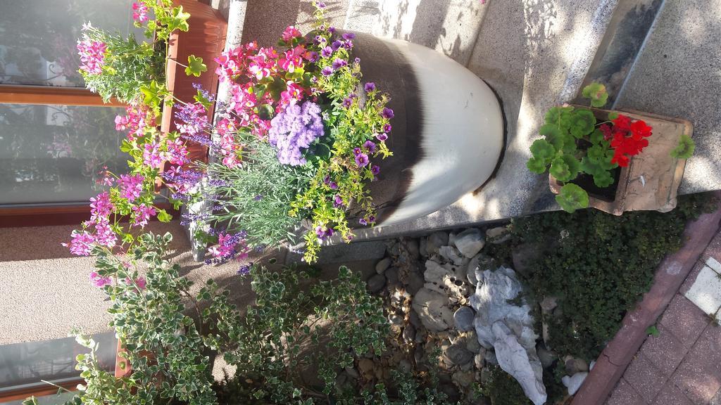 Guest House Isabel Zagreb Bagian luar foto